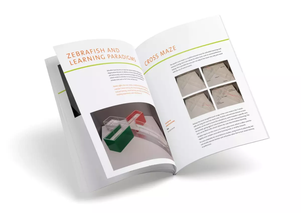 Zebrafish learning paradigms