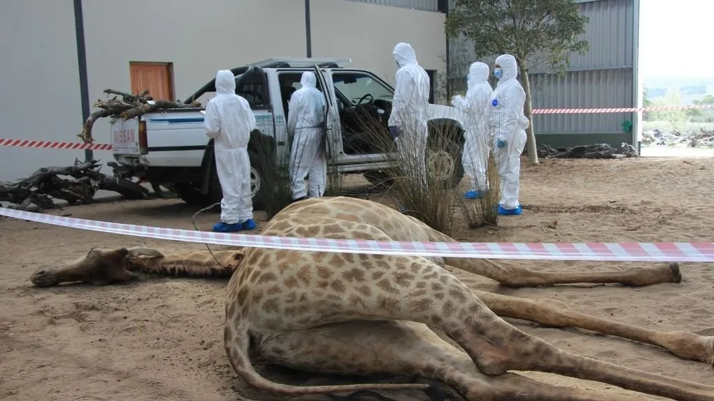 Wildlife forensic academy active training