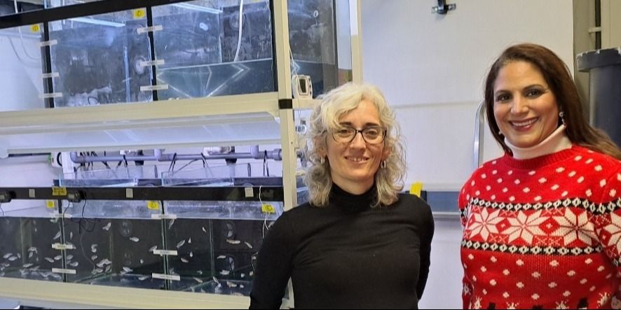 researchers standing in front of zebrafish tanks