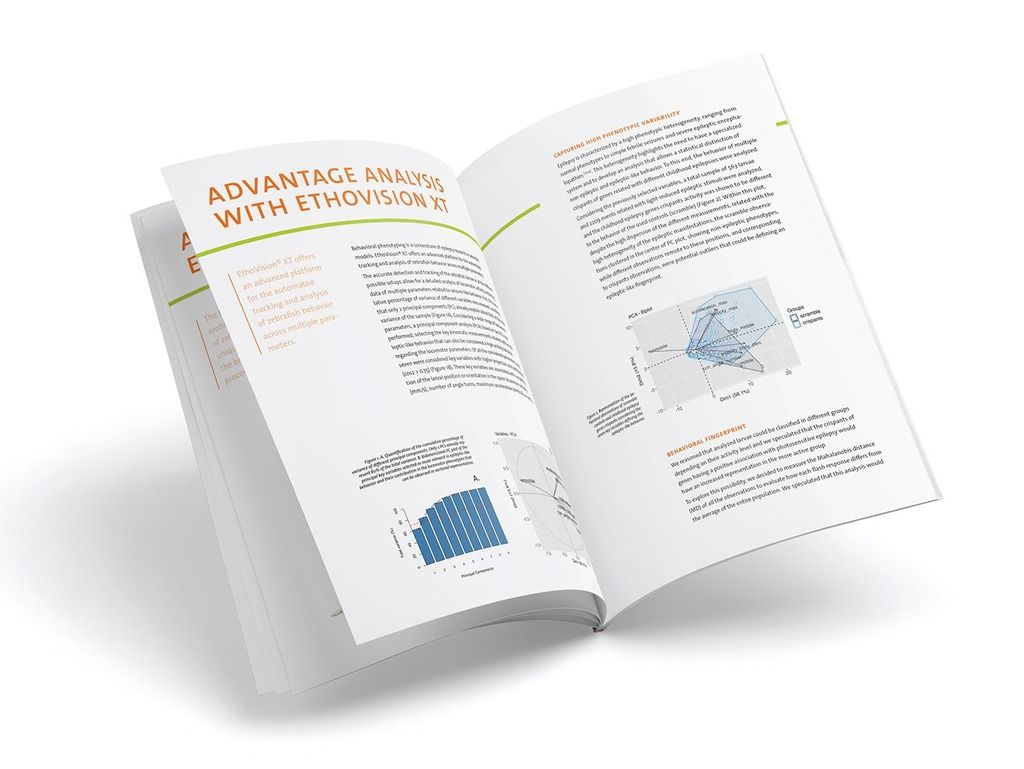 Epilepsy research whitepaper
