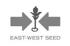 Logo East-West seed