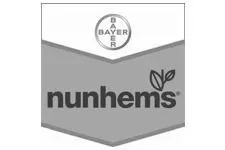 Logo Nunhems