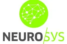 Logo Neuro Sys