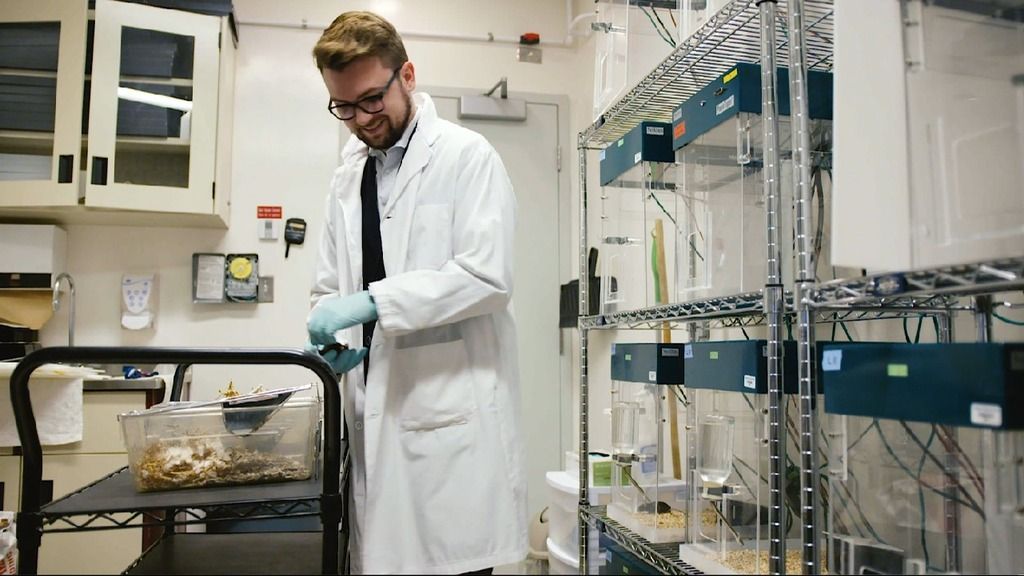 Customer Stories | Animal | University of Toronto